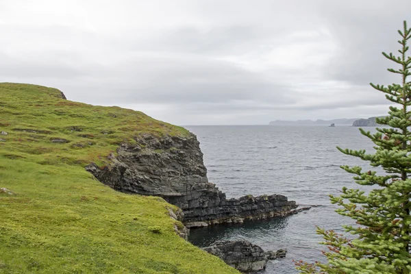 Newfoundland kıyılarında Trinity Bay tarafından — Stok fotoğraf