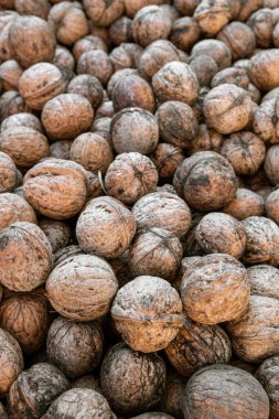 Kabuğunda bir sürü gri Çerkez cevizi var.