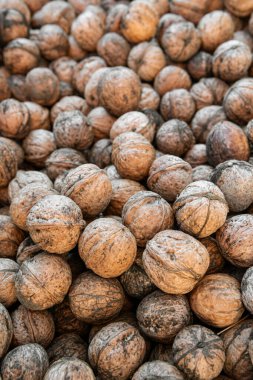 Kabuğunda bir sürü gri Çerkez cevizi var.