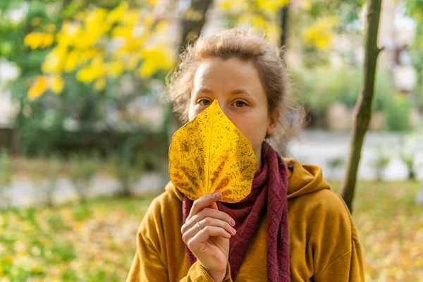 Young Pretty Woman Holding Keeping Big Autumn Yellow Leaves Hand — Stock Photo, Image