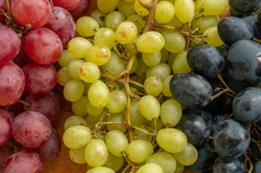 Üç çeşit büyük renkli üzüm, muska, hasat, asma, çekirdeksiz, kuru üzüm.