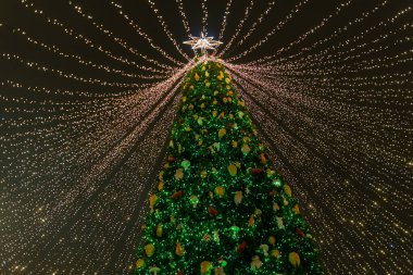 Kyiv (Kiev), Ukrayna - 19 Aralık 2020: Süslü bir Noel ağacı