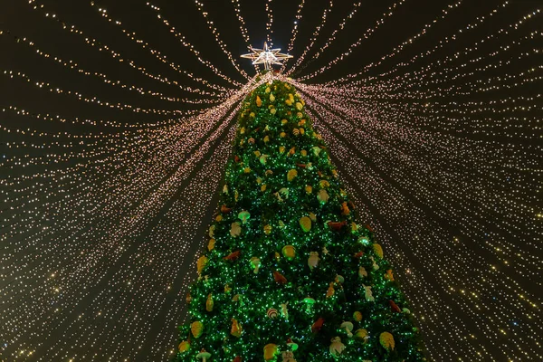 Kyiv Kiev Ukraine December 2020 Decorated Festive Christmas Tree — Stock Photo, Image