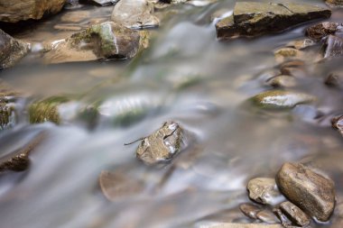 Yumuşak su ve taşlar, nehir ve vahşi doğa, dağlar, az şelale