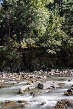Yumuşak su ve taşlar, nehir ve vahşi doğa, dağlar, az şelale