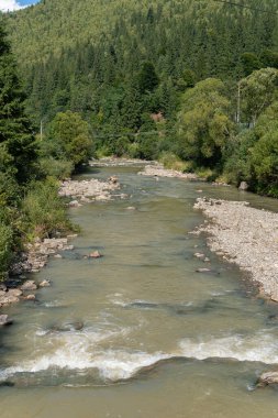 Güneşli bir günde, dağlarda taştan bir nehir.