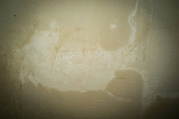 rough wet plaster applied to the wall.