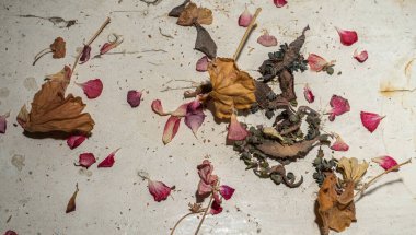 Kurumuş yaprakların ve bitki tohumlarının düştüğü beyaz, kirli bir yüzey.