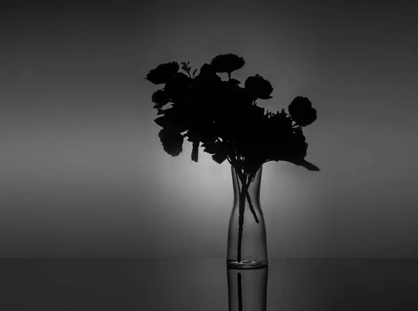 Διάφανο Βάζο Λουλούδια Σκούρο Φόντο Πίσω Φως — Φωτογραφία Αρχείου