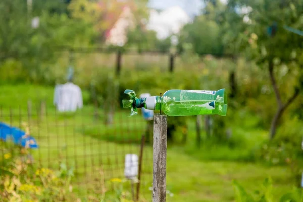 Hemmagjord Repeller Från Mullvadar Trädgården Plastflaska Trästav Snurrar Från Vinden — Stockfoto