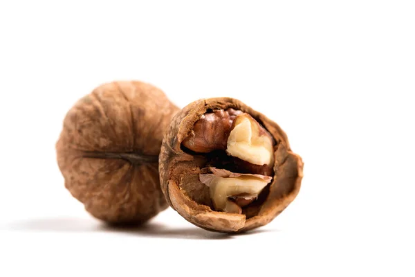 Walnuts in shell isolated on a white background — Stock Photo, Image