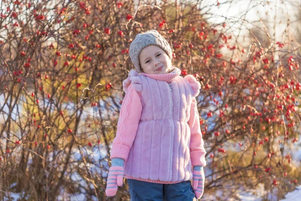 Little Girl Winter Clothes Smiling Camera Background Bush Rose Hips — Stock Photo, Image