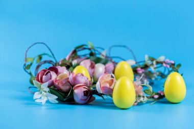 Mavi arka planda renkli Paskalya çelengi ve plastik yumurtalar..