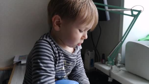 Mały Chłopiec Podlewający Sadzonki Butelki Sprayu Siedząc Stole Wysokiej Jakości — Wideo stockowe