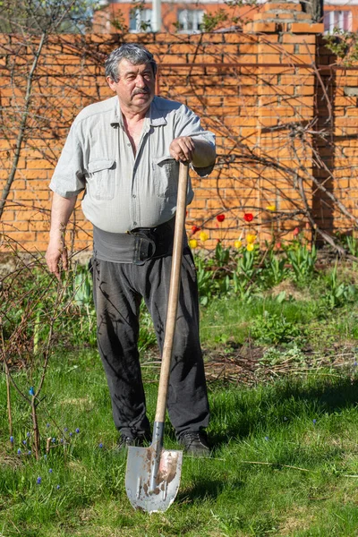 Äldre Kaukasier Man Med Ryggstöd Bälte Lutar Sig Handtaget Spade — Stockfoto