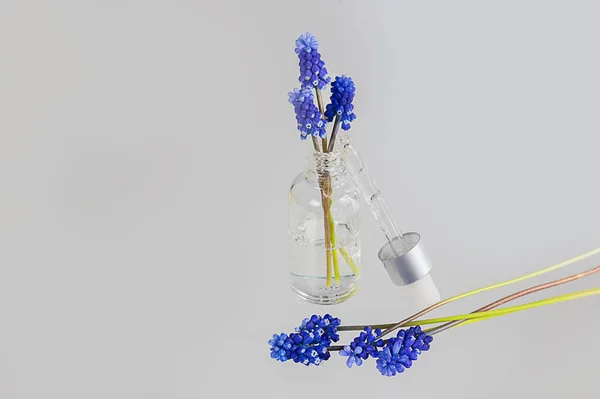 Kosmetisches Serum Mit Muscari Hyazinth Blauen Blüten Auf Weißem Hintergrund — Stockfoto