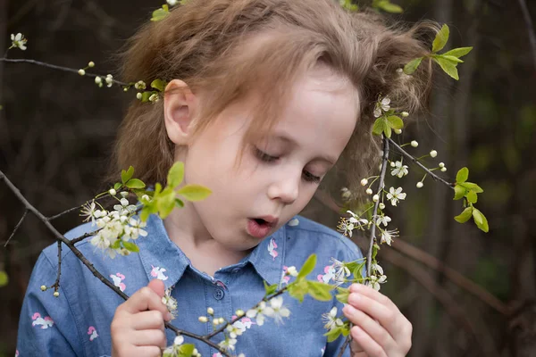 Adorable Niña Caucásica Años Parque Bajo Cerezo Floreciente —  Fotos de Stock