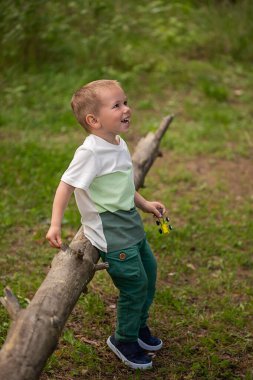 3 yaşındaki sevimli beyaz çocuk ormanda bir kütüğün üzerinde oyuncak arabasıyla oynuyor.