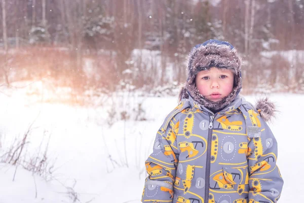 Ein Junge Warmer Kleidung Steht Inmitten Eines Winterwaldes Konzept Größerer — Stockfoto