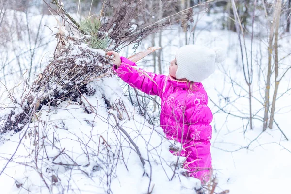 Kleines Mädchen Warmer Kleidung Baut Hütte Aus Nadelzweigen Winterwald Und — Stockfoto