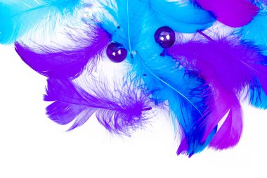 Tüylü arka plan - küçük tüylü mavi tüyler rastgele beyaz masaya saçılmış