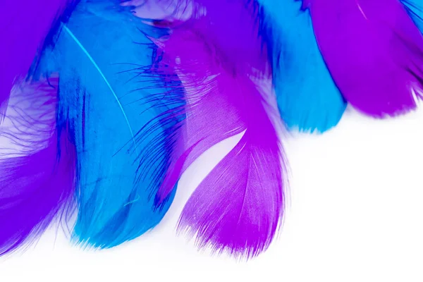 羽の背景 白いテーブルの上にランダムに散在する小さなふわふわの青い羽 — ストック写真