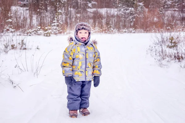Ein Junge Warmer Kleidung Steht Inmitten Eines Winterwaldes Konzept Größerer — Stockfoto