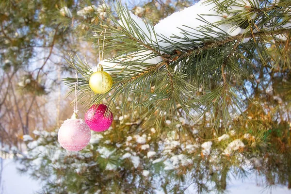 Großaufnahme Von Weihnachtskugeln Auf Schneebedecktem Tannenzweig — Stockfoto