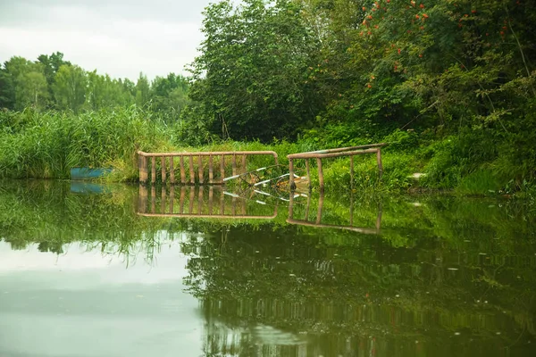 Nehir kıyısındaki eski bir köprünün kalıntıları, yaz orman manzarası..