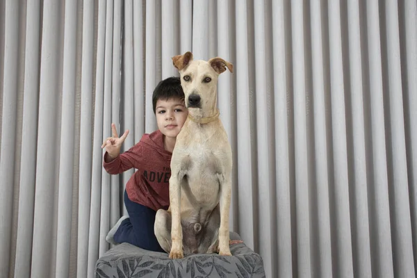 Boy Dog Together Ottoman Living Room Modern House Child Partner — Stock Photo, Image