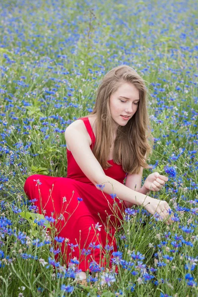 Genç güzel gülümseyen kız çayırda çiçek toplama