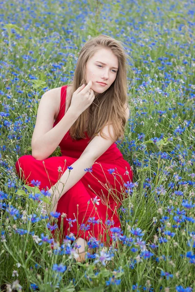Young beautiful girl sitting in cornflower field, pensive look — Stock Photo, Image