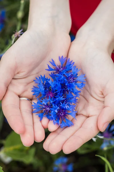 Erkek holding Peygamber eller