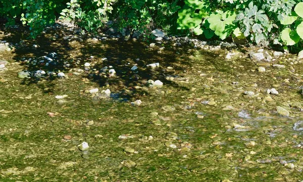 Ein Flacher Fluss Mit Einem Sitzbankboden Mit Algen Und Einer — Stockfoto