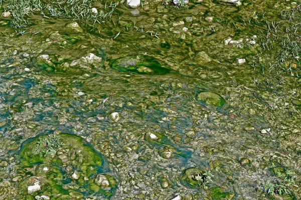 Φόντο Βραχώδους Πυθμένα Λάσπη Και Φύκια Διαφανούς Ρηχού Ποταμού Κοντά — Φωτογραφία Αρχείου
