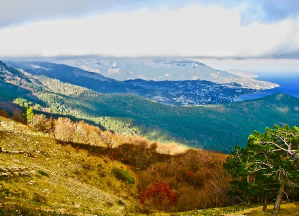 Top view of mountain landscape with dense autumn forest and rocks against cloudy sky