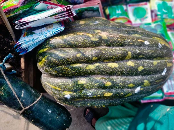 Comida Gigante Como Essas Frutas Vegetais Ficaram Tão Grandes — Fotografia de Stock