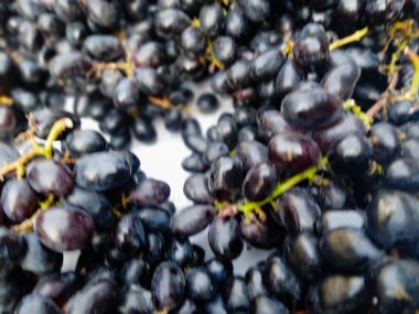 Siyah üzümler kuru üzümlerden, üzümlerden, üzümlerden, resimlerden, üzümlerden, görüntülerden, görüntülerden, üzümlerden, resimlerden, siyah beyaz, siyah üzümlerden, meyve resimlerinden yoksundur.,