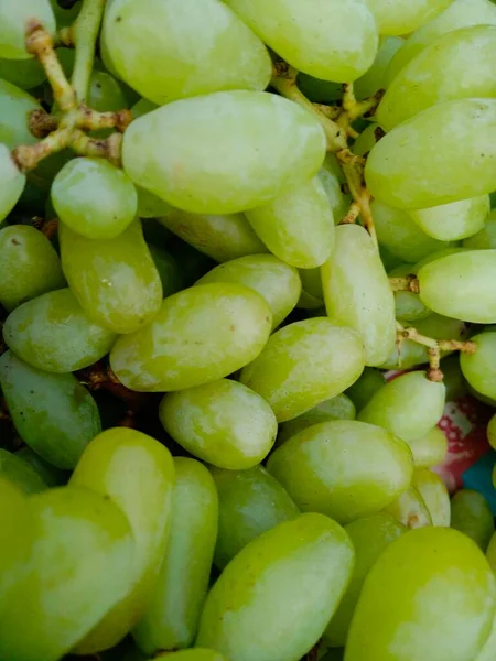grapes benefits, purple grape, types of grapes, red grapes, green grapes benefits, black grapes,10 health benefits of grapes, grapes clipart,
