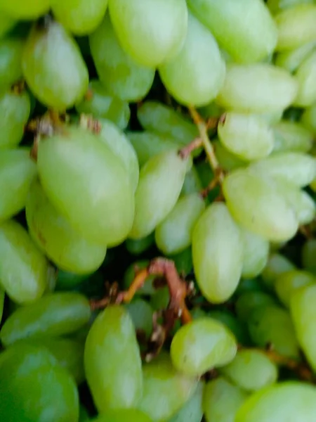 Üzüm Yardımları Mor Üzüm Üzüm Türleri Kırmızı Üzüm Yeşil Üzüm — Stok fotoğraf
