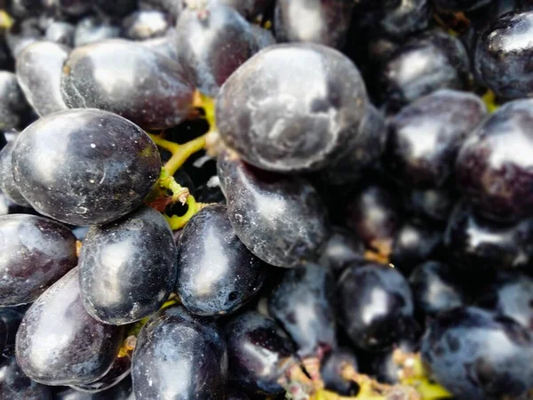 Schwarze Trauben Vorteile Fehlen Trockene Trauben Bilder Grüne Trauben Bilder — Stockfoto