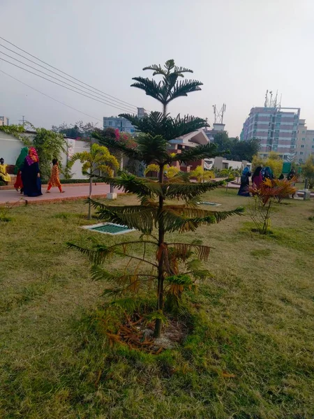 Park Chittagong Pretpark Chittagong Lijst Van Eco Park Bangladesh Romantische — Stockfoto