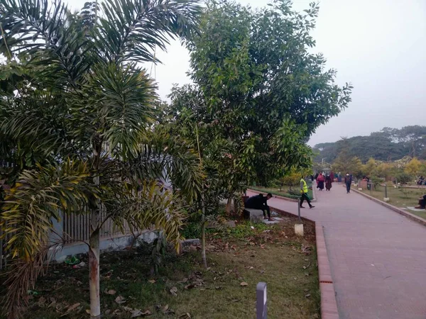 Park Chittagong Amusement Park Chittagong List Eco Park Bangladesh Romantic — Stock Photo, Image