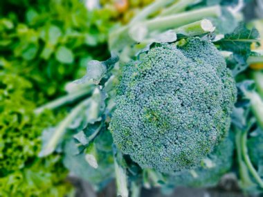 Sebze isimleri, Bangladeş sebzeleri, sebze isimleri İngilizce, meyve, sebze listesi, sebze fotografı, sebze reçeteleri, yeşil ve kırmızı sağlıklı yiyecekler.