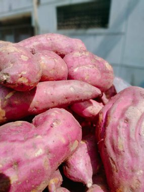 Bir yığın taze çiğ patates.