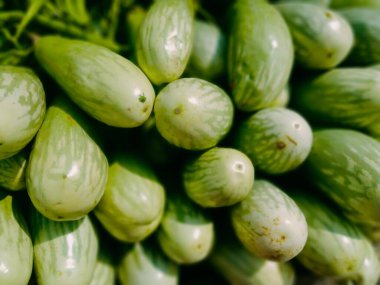 Patlıcan brinjala karşı, patlıcan testi, patlıcan emojisi, patlıcan tarifi, patlıcan sigortası, patlıcan kalorisi, patlıcan kullanımı, patlıcan beslenme,