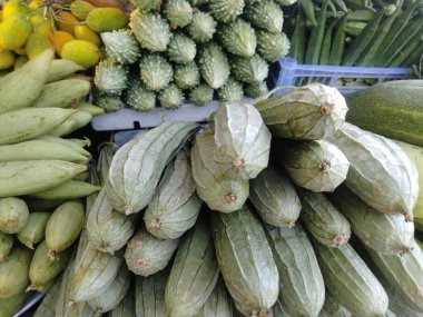 Sebze listesi, sebze sınıflandırması, sebzelerin önemi, sebze meyveleri, çiçek sebzeleri.