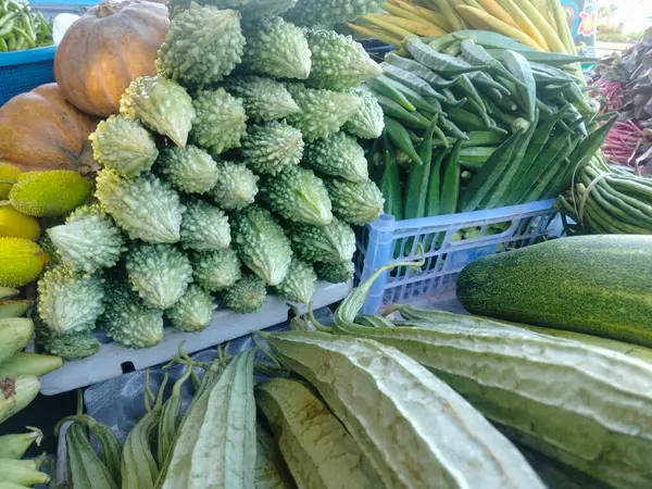 Lista Verduras Classificação Verduras Importância Verduras Fruto Vegetal Verduras Flor — Fotografia de Stock