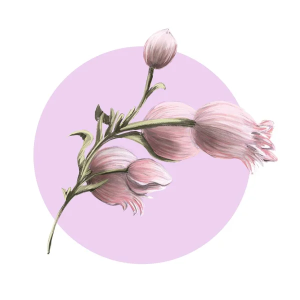 Logo Simge Kapak Için Pembe Arkaplanda Çiçek — Stok fotoğraf