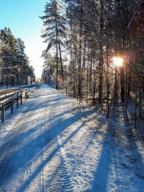 Güneşli bir günde karla kaplı bir şehir ve yol manzarası. Ağaçların arkasında direk güneş var. Dondurucu peri masalı ilhamı